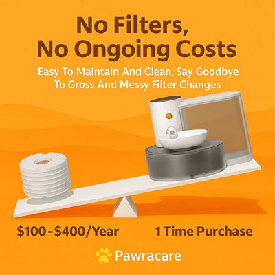 Smart Pet Water Dispenser - PawraCare